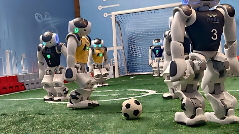 《湖北日报》聚焦 | 从单机型走俏到家族式生长 欧洲人形机器人“鼻祖”在武汉开枝散叶