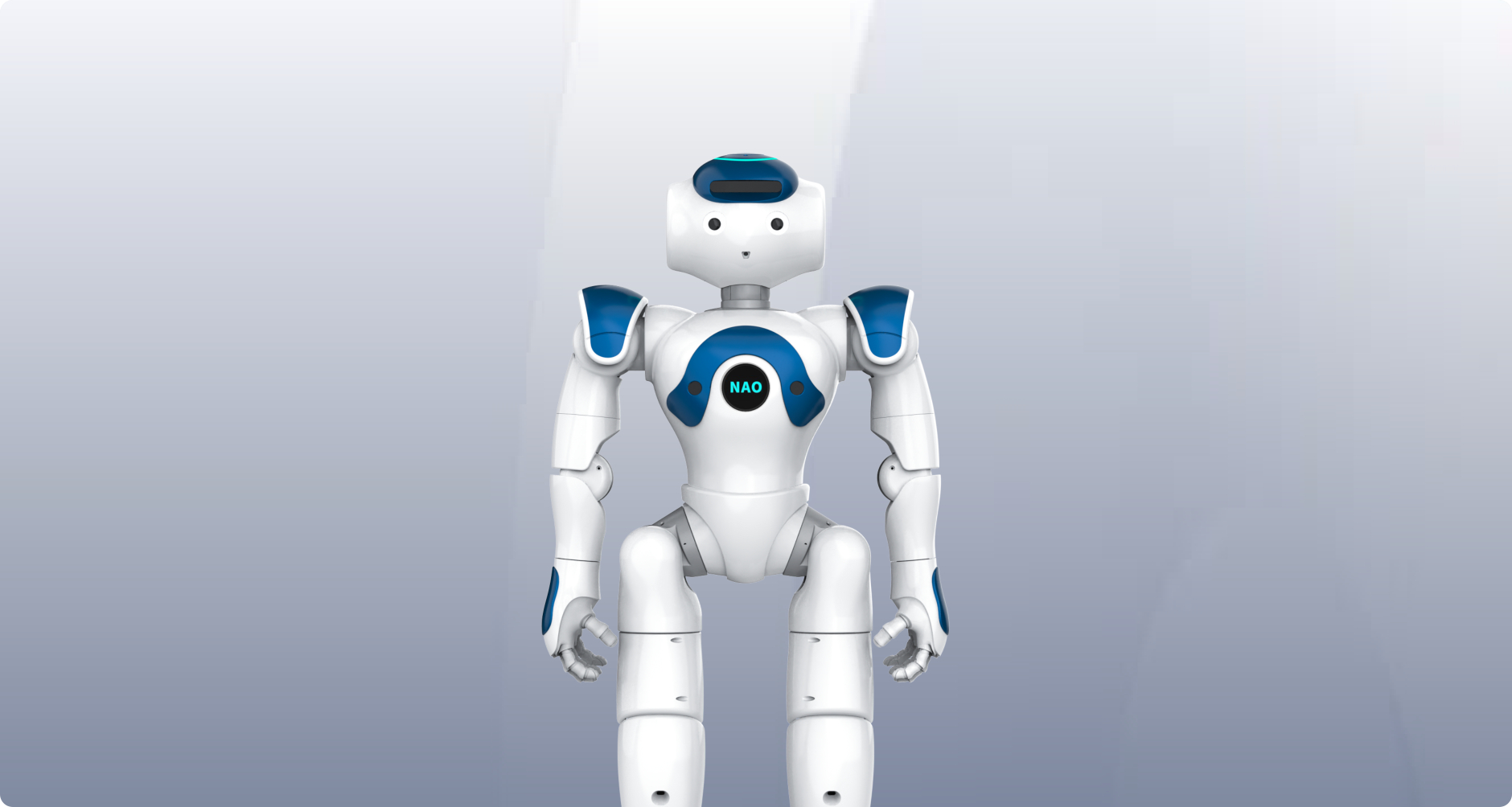 NAO Plus-科研